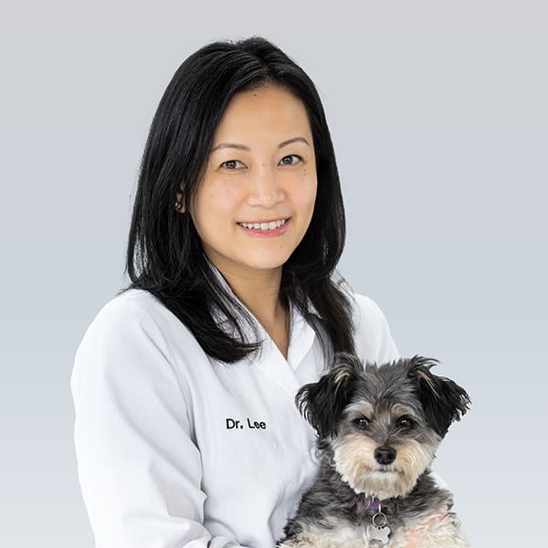 Meet Dr. YuTin Lee, Berkeley Veterinarian