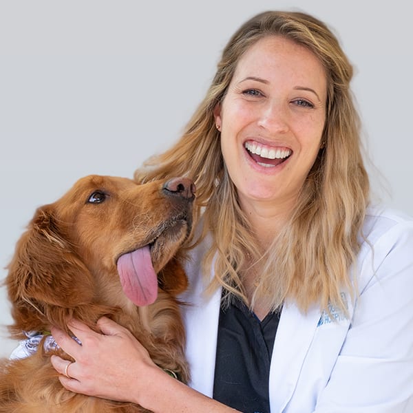 Meet Dr. Elizabeth Engall, Berkeley Veterinarian