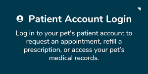 Patient Log in